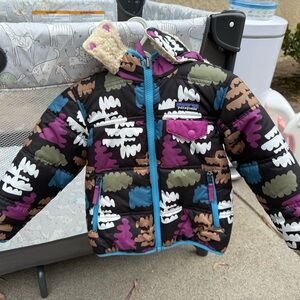 Patagonia Blue and Purple Jacket